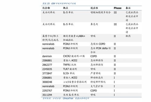 002825 光刻胶真正的龙头股